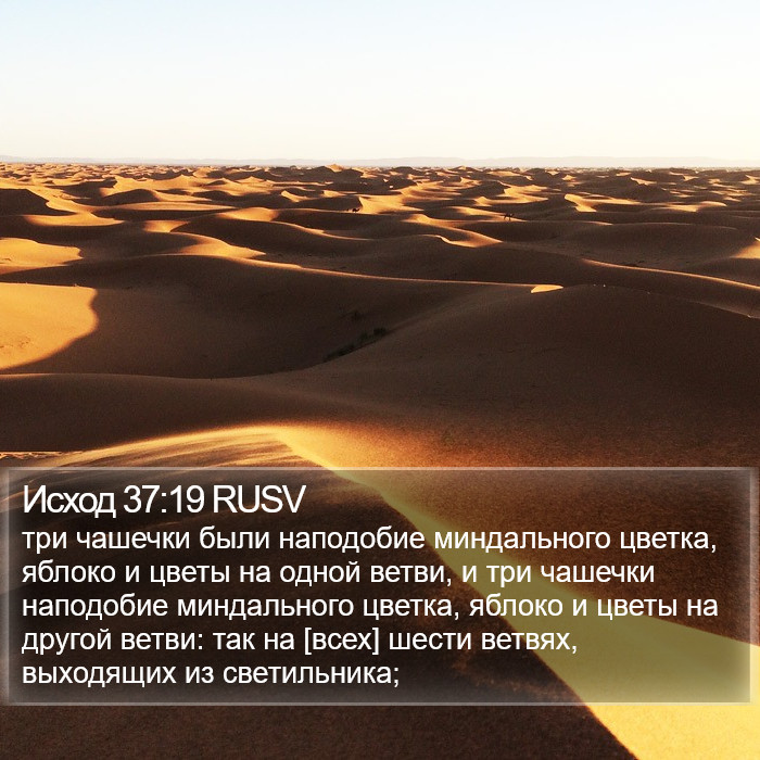 Исход 37:19 RUSV Bible Study