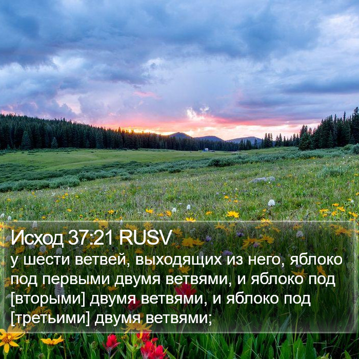 Исход 37:21 RUSV Bible Study