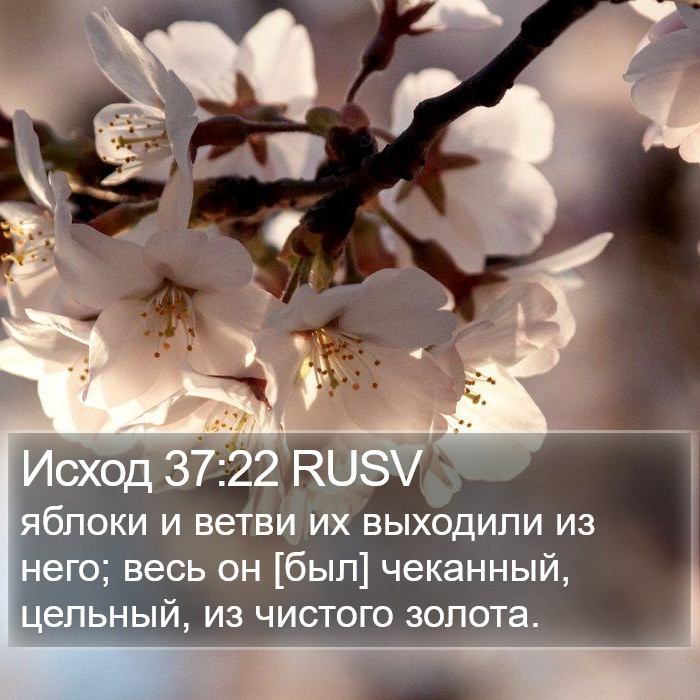 Исход 37:22 RUSV Bible Study