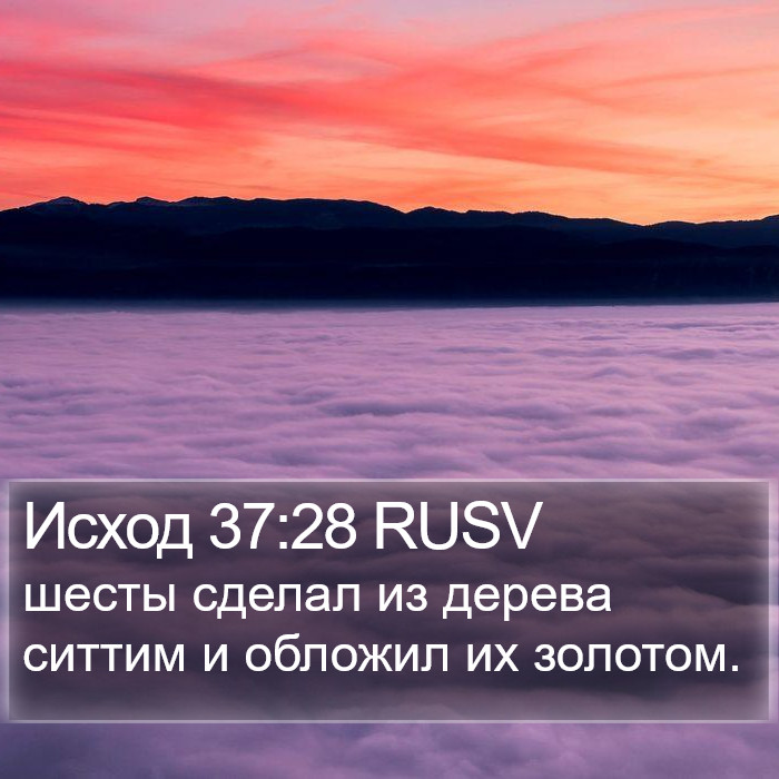 Исход 37:28 RUSV Bible Study