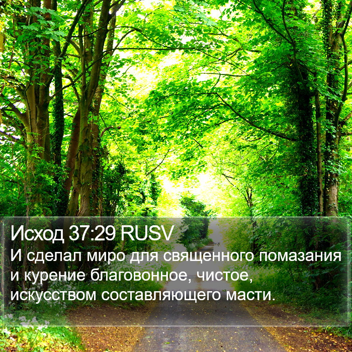 Исход 37:29 RUSV Bible Study