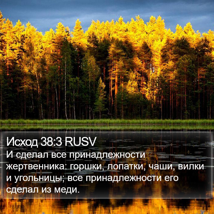 Исход 38:3 RUSV Bible Study