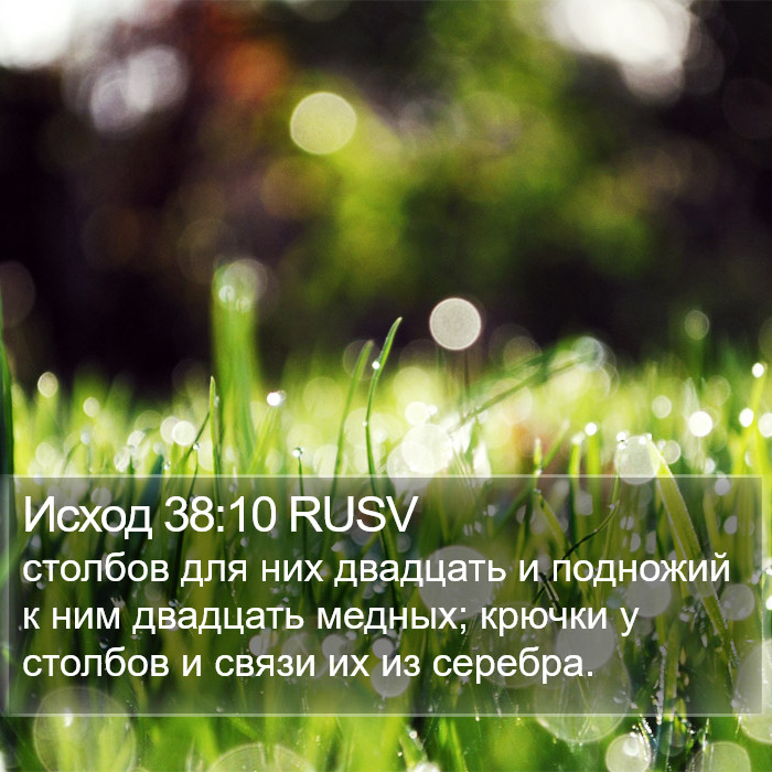 Исход 38:10 RUSV Bible Study