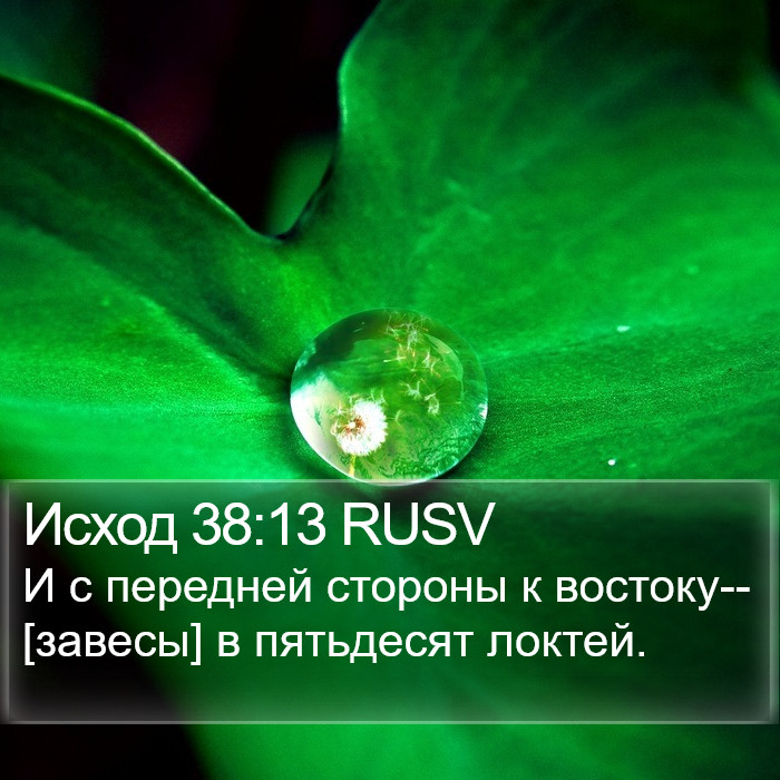 Исход 38:13 RUSV Bible Study
