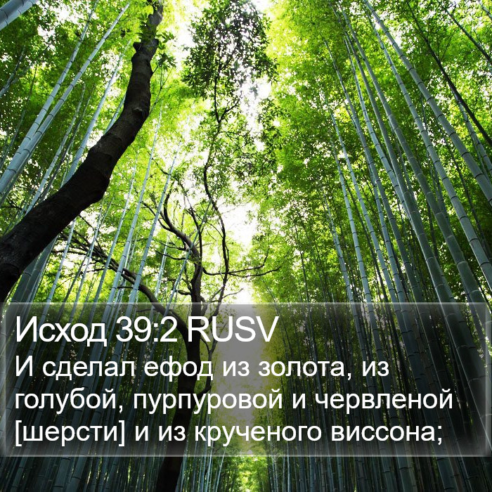 Исход 39:2 RUSV Bible Study