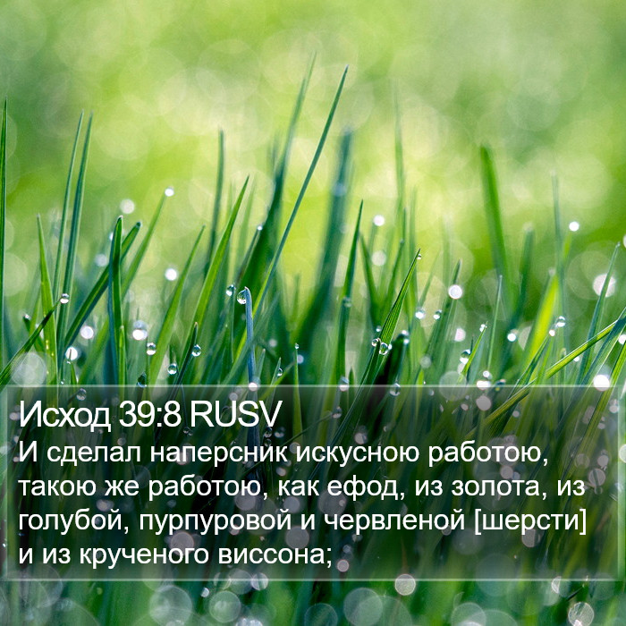 Исход 39:8 RUSV Bible Study