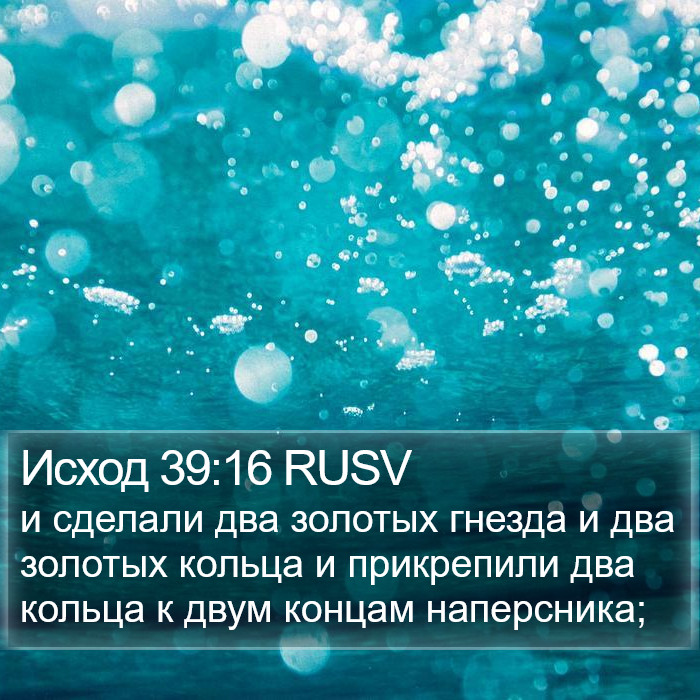 Исход 39:16 RUSV Bible Study