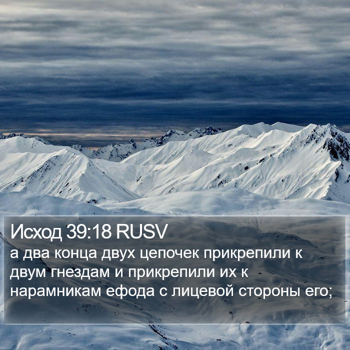 Исход 39:18 RUSV Bible Study