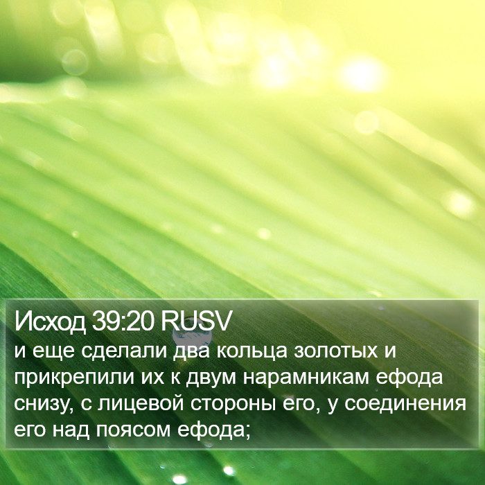 Исход 39:20 RUSV Bible Study