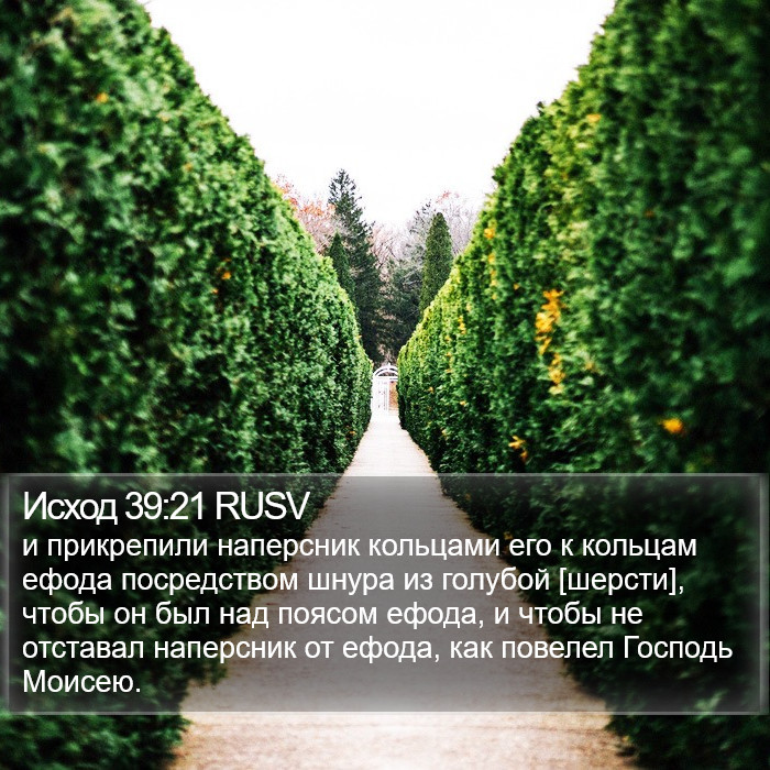 Исход 39:21 RUSV Bible Study