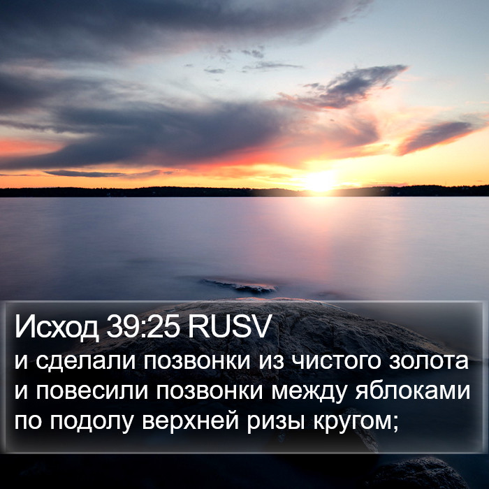 Исход 39:25 RUSV Bible Study