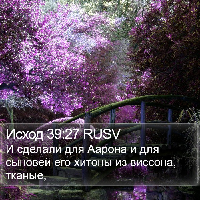 Исход 39:27 RUSV Bible Study