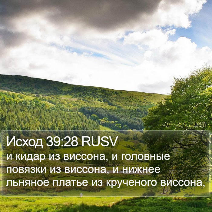 Исход 39:28 RUSV Bible Study