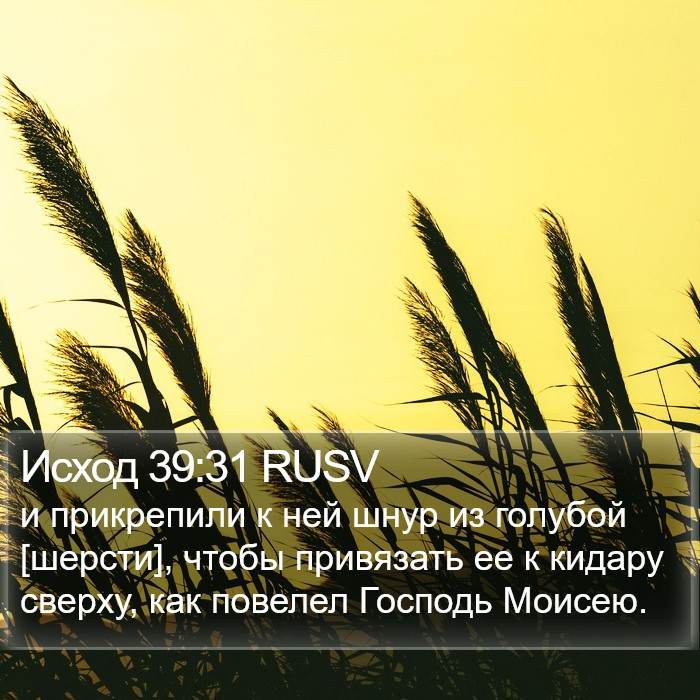 Исход 39:31 RUSV Bible Study