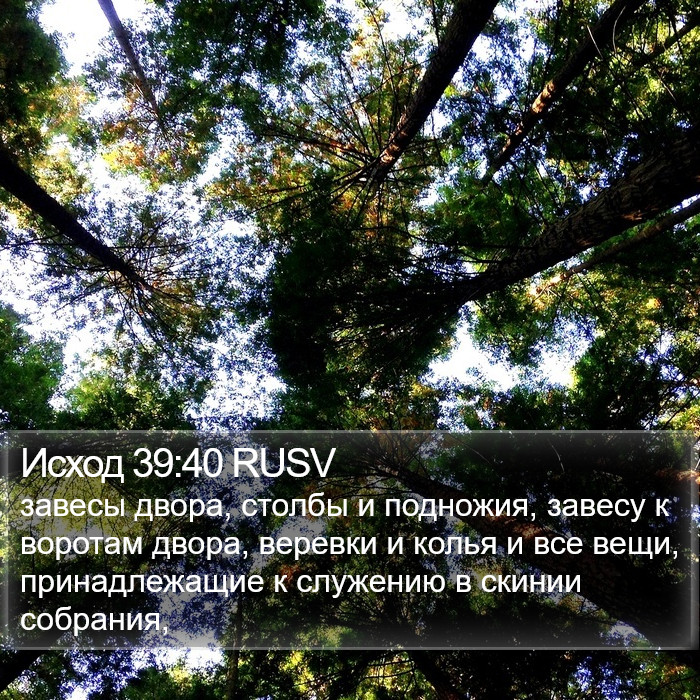 Исход 39:40 RUSV Bible Study