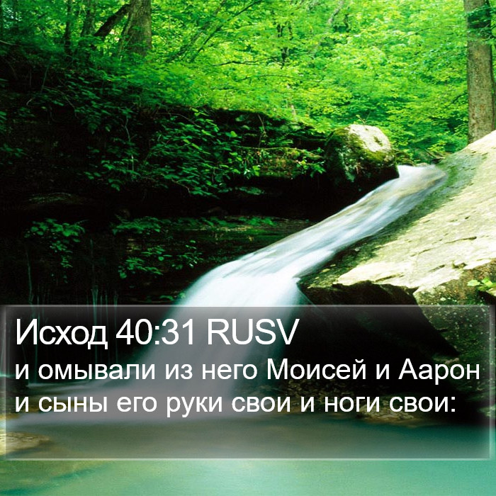 Исход 40:31 RUSV Bible Study