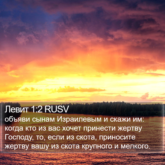 Левит 1:2 RUSV Bible Study