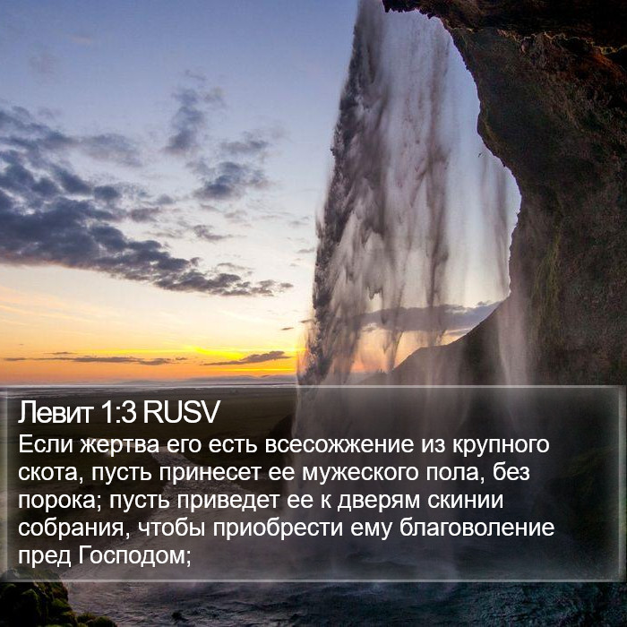 Левит 1:3 RUSV Bible Study