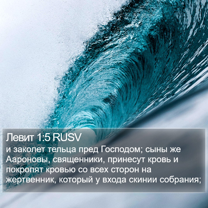 Левит 1:5 RUSV Bible Study