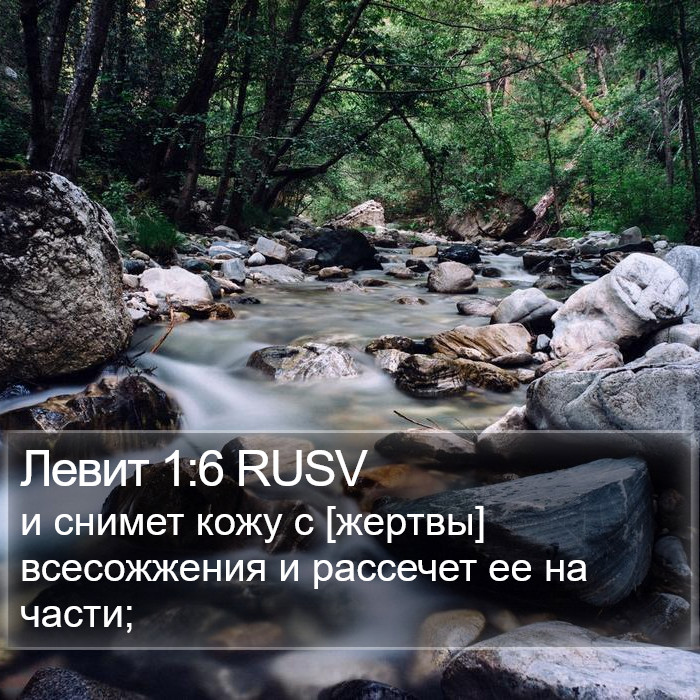 Левит 1:6 RUSV Bible Study