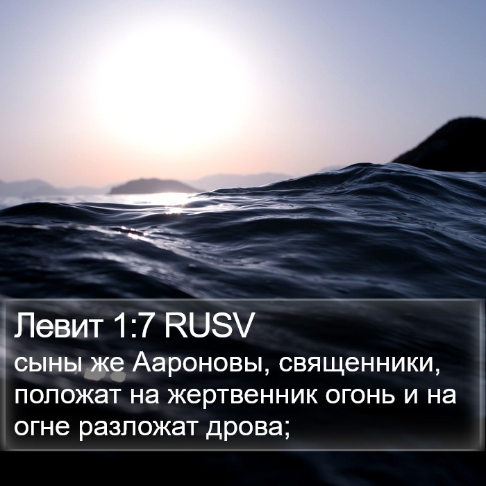 Левит 1:7 RUSV Bible Study