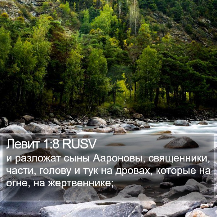 Левит 1:8 RUSV Bible Study