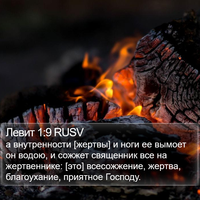 Левит 1:9 RUSV Bible Study