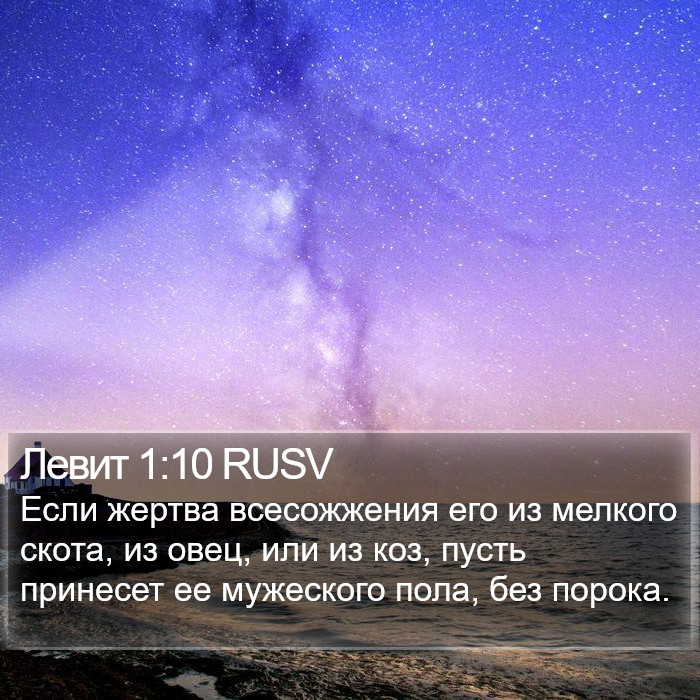 Левит 1:10 RUSV Bible Study