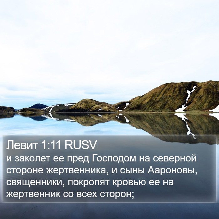 Левит 1:11 RUSV Bible Study