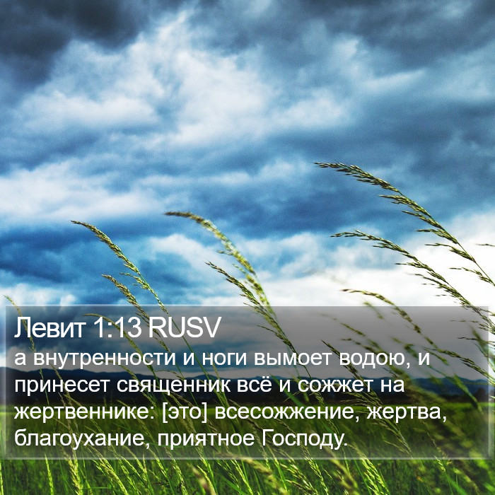 Левит 1:13 RUSV Bible Study