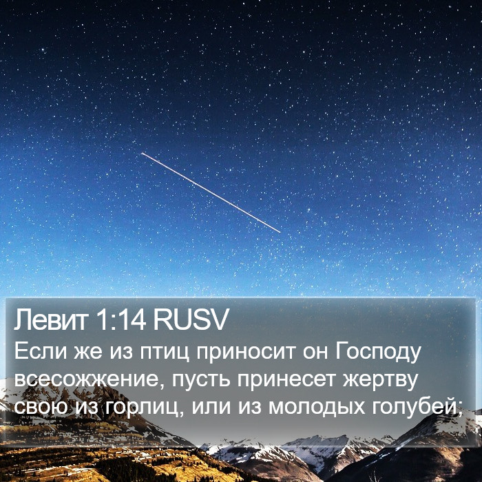 Левит 1:14 RUSV Bible Study