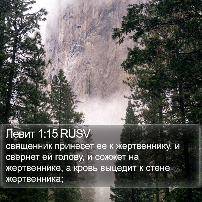 Левит 1:15 RUSV Bible Study