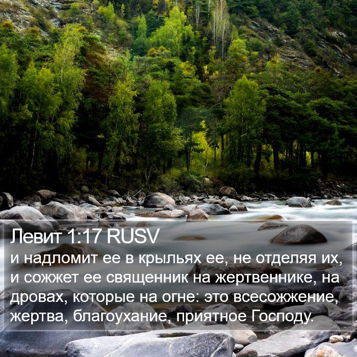 Левит 1:17 RUSV Bible Study