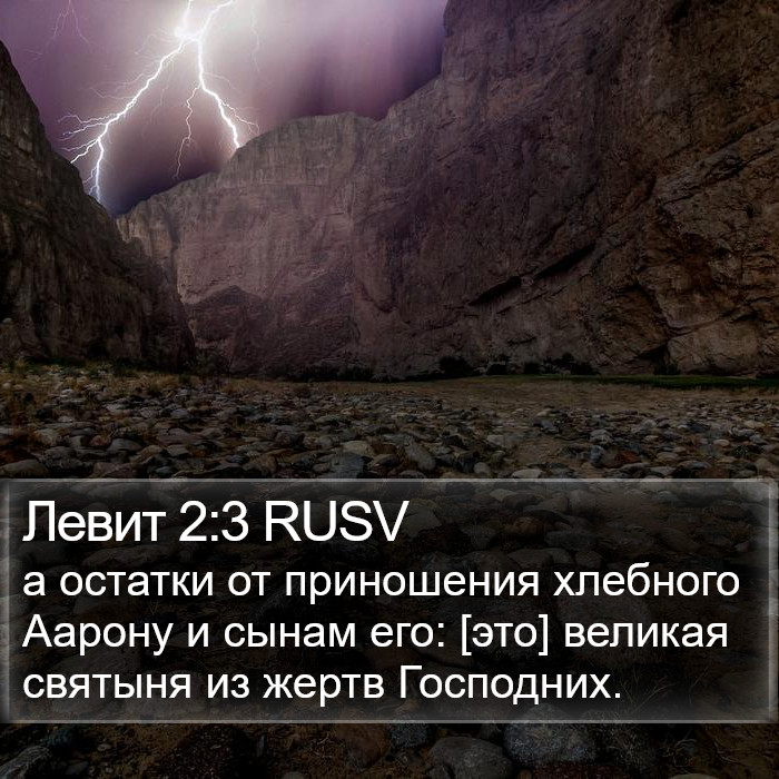 Левит 2:3 RUSV Bible Study