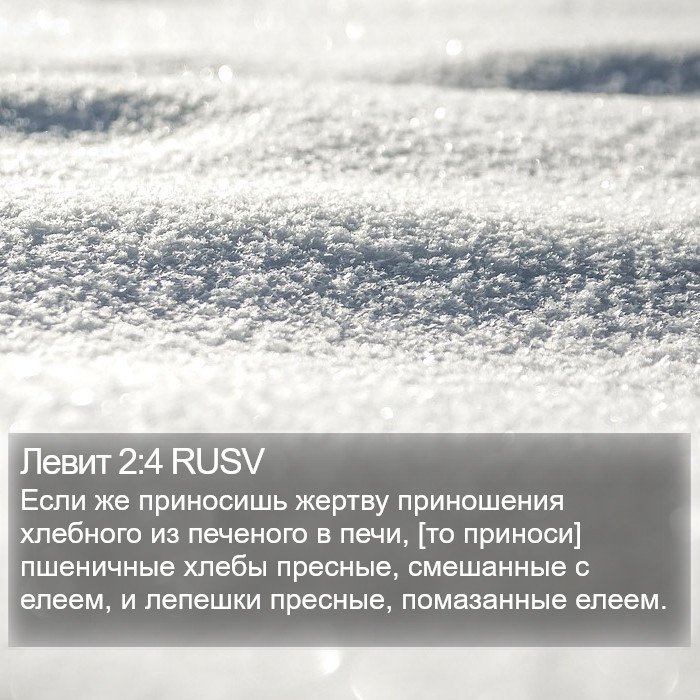 Левит 2:4 RUSV Bible Study