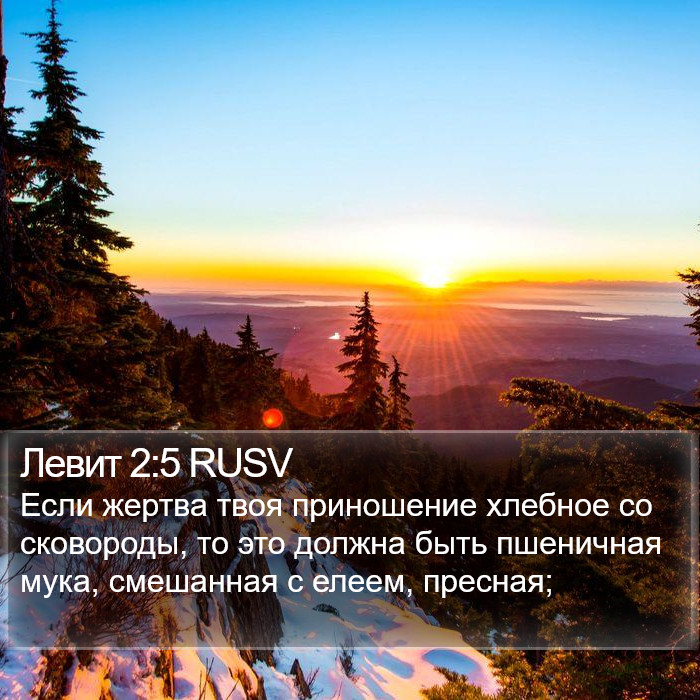 Левит 2:5 RUSV Bible Study