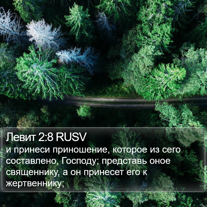 Левит 2:8 RUSV Bible Study