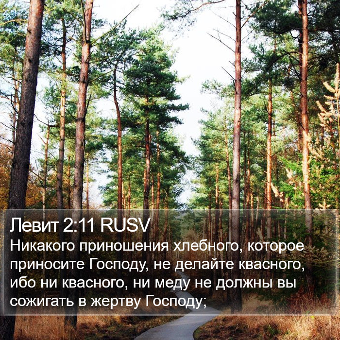 Левит 2:11 RUSV Bible Study