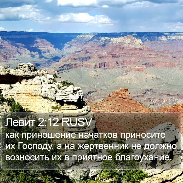 Левит 2:12 RUSV Bible Study