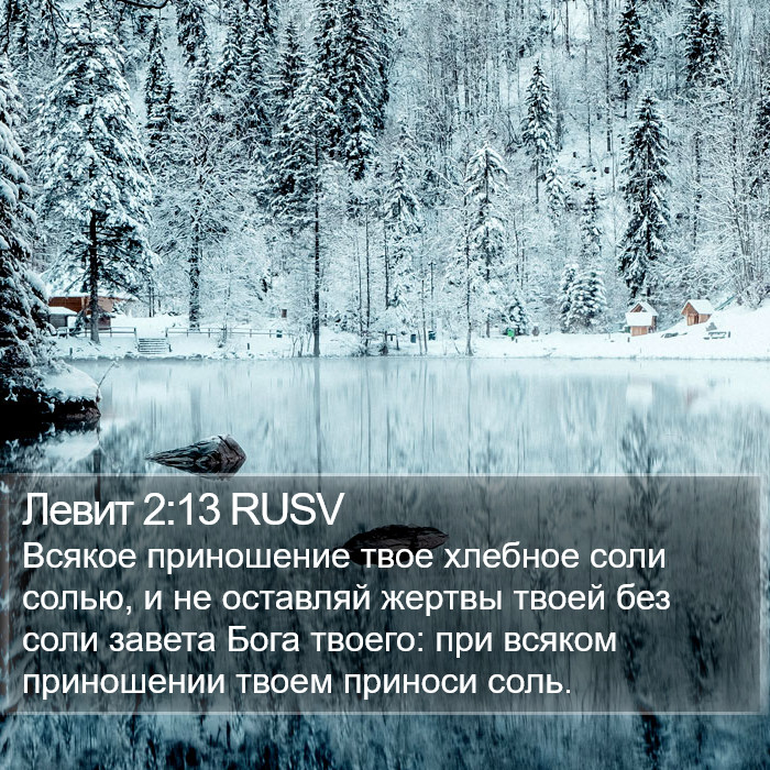 Левит 2:13 RUSV Bible Study