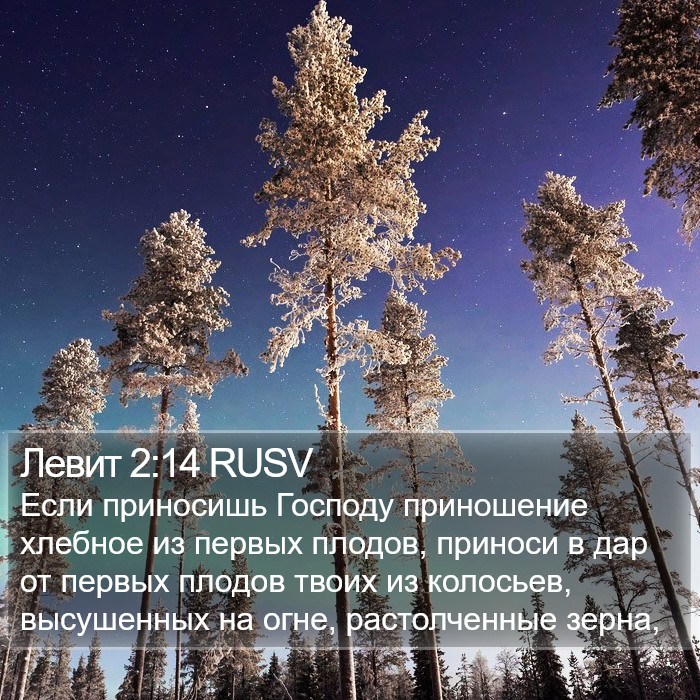 Левит 2:14 RUSV Bible Study