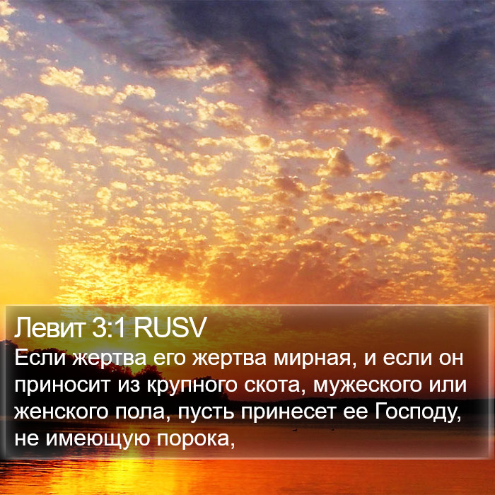 Левит 3:1 RUSV Bible Study