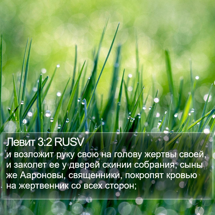 Левит 3:2 RUSV Bible Study