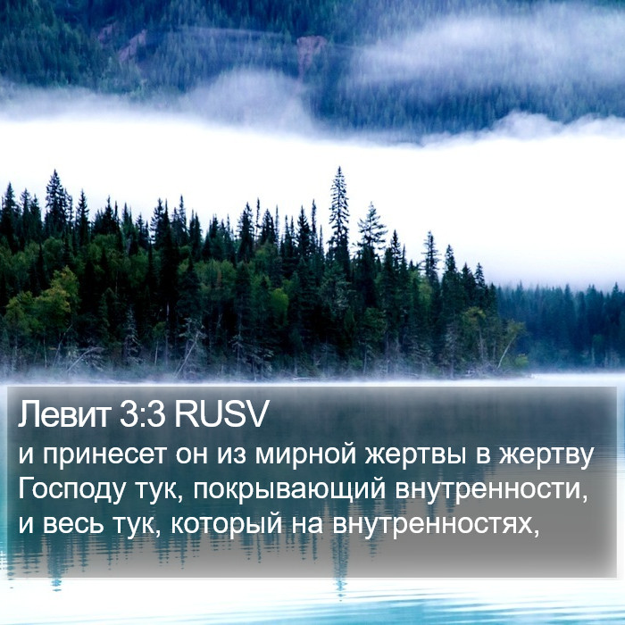 Левит 3:3 RUSV Bible Study