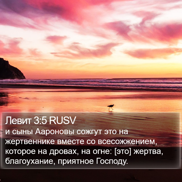 Левит 3:5 RUSV Bible Study