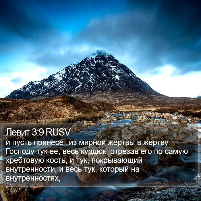 Левит 3:9 RUSV Bible Study