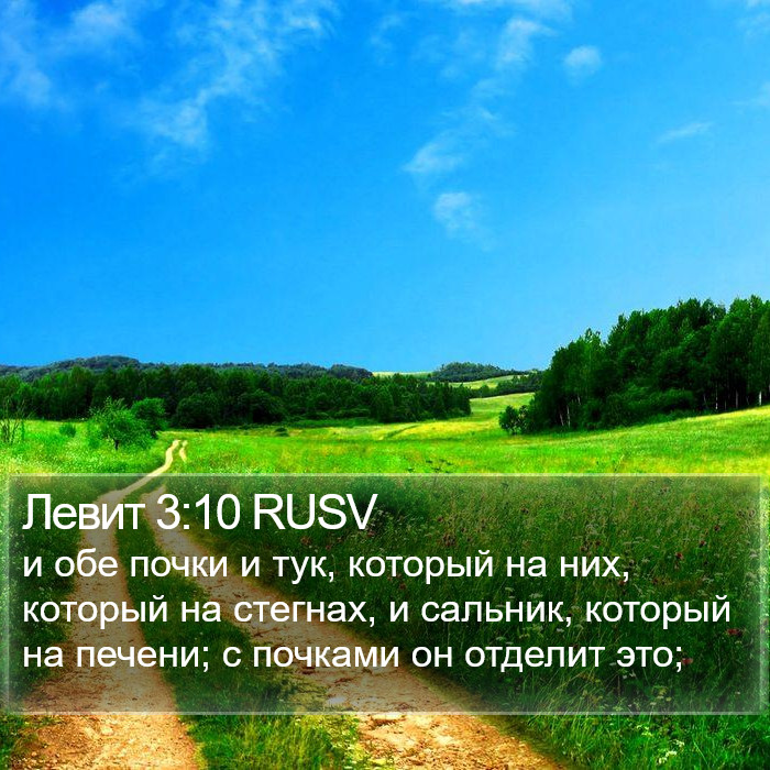 Левит 3:10 RUSV Bible Study