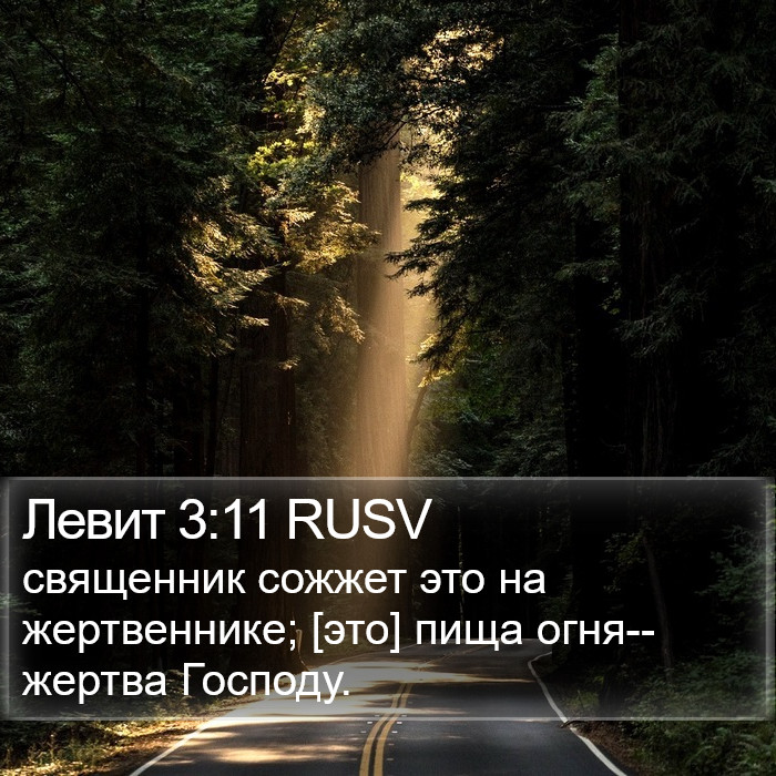 Левит 3:11 RUSV Bible Study