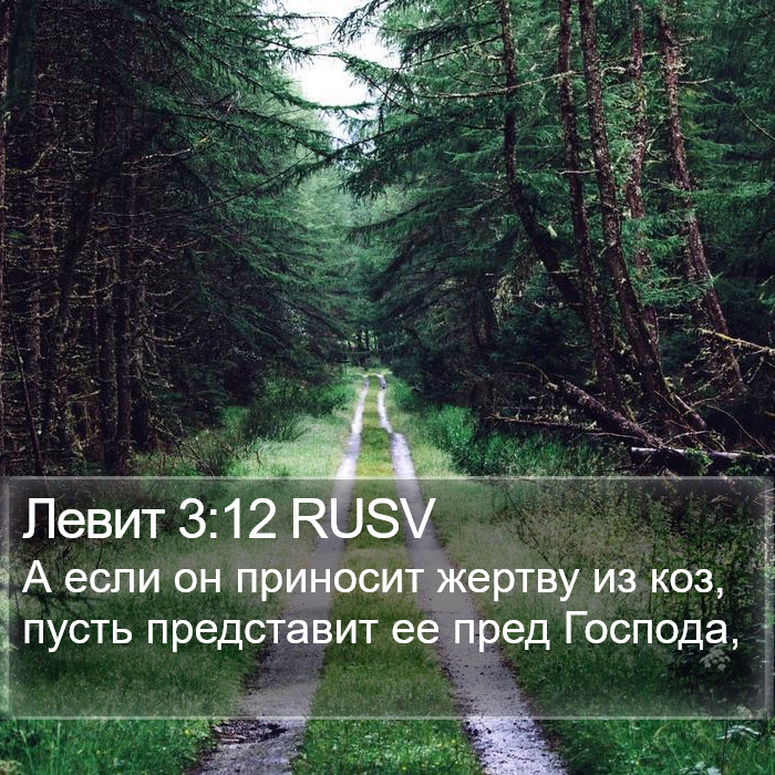 Левит 3:12 RUSV Bible Study