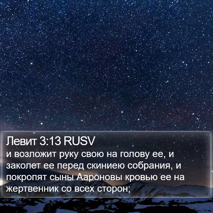 Левит 3:13 RUSV Bible Study